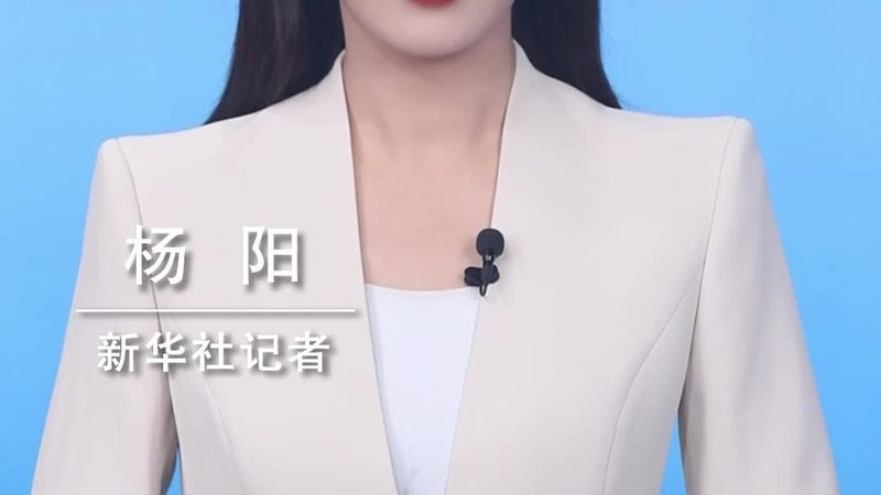 大数据分析岗位必备工具解析：功能与选型要点